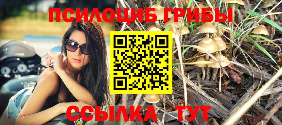 закладка  Псилоцибиновые грибы GOLDEN TEACHER  Псилоцибиновые грибы Magic Shrooms  Вход с VPN  Белгород 