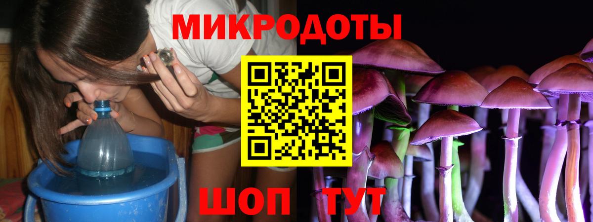 Псилоцибиновые грибы Cubensis Белгород