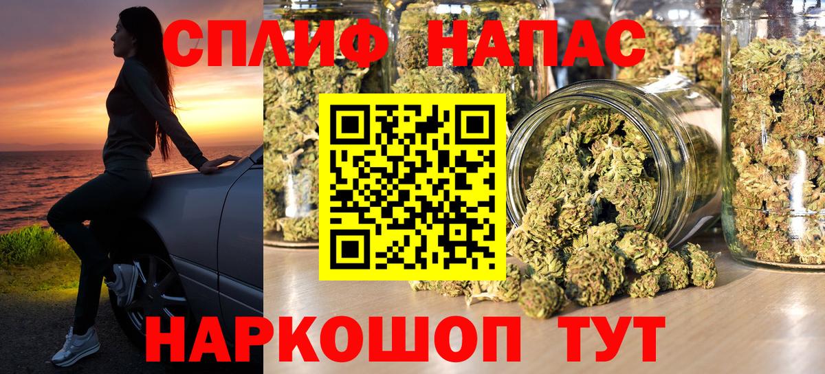 Канабис сатива Белгород